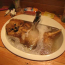 hund-nimmt-ein-bad