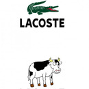 Lacost - Lactose