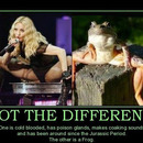 madonna spot the difference