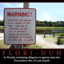 molesting alligators is against floridarsquos law