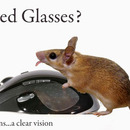 need glasses 4848