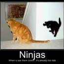 Ninjas, wenn du sie kommen siehst, ist es bereits zu spät - DeMotivational Bild