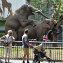 not a good day to take kids to the zoo