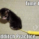 Quidditch Cat