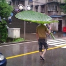 Regenschirm Win - Win Bild