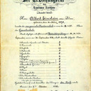 school grades of albert einstein