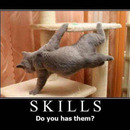skills do you have them