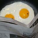 the egges the reader