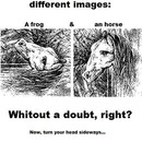 two different images