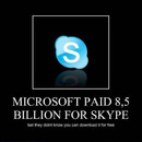 what microsoft didnrsquot know about skype