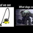 What we see, what dogs see